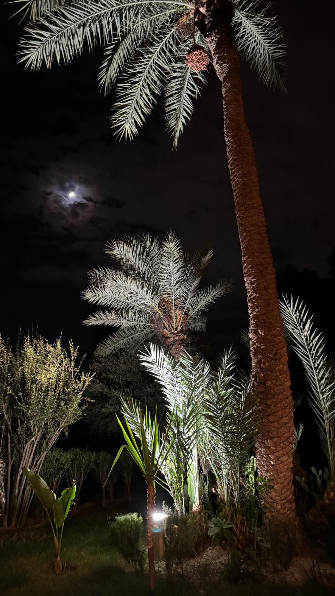 Tres Joli Appart A La Palmeraie Coup De Coeur Marakeş Dış mekan fotoğraf