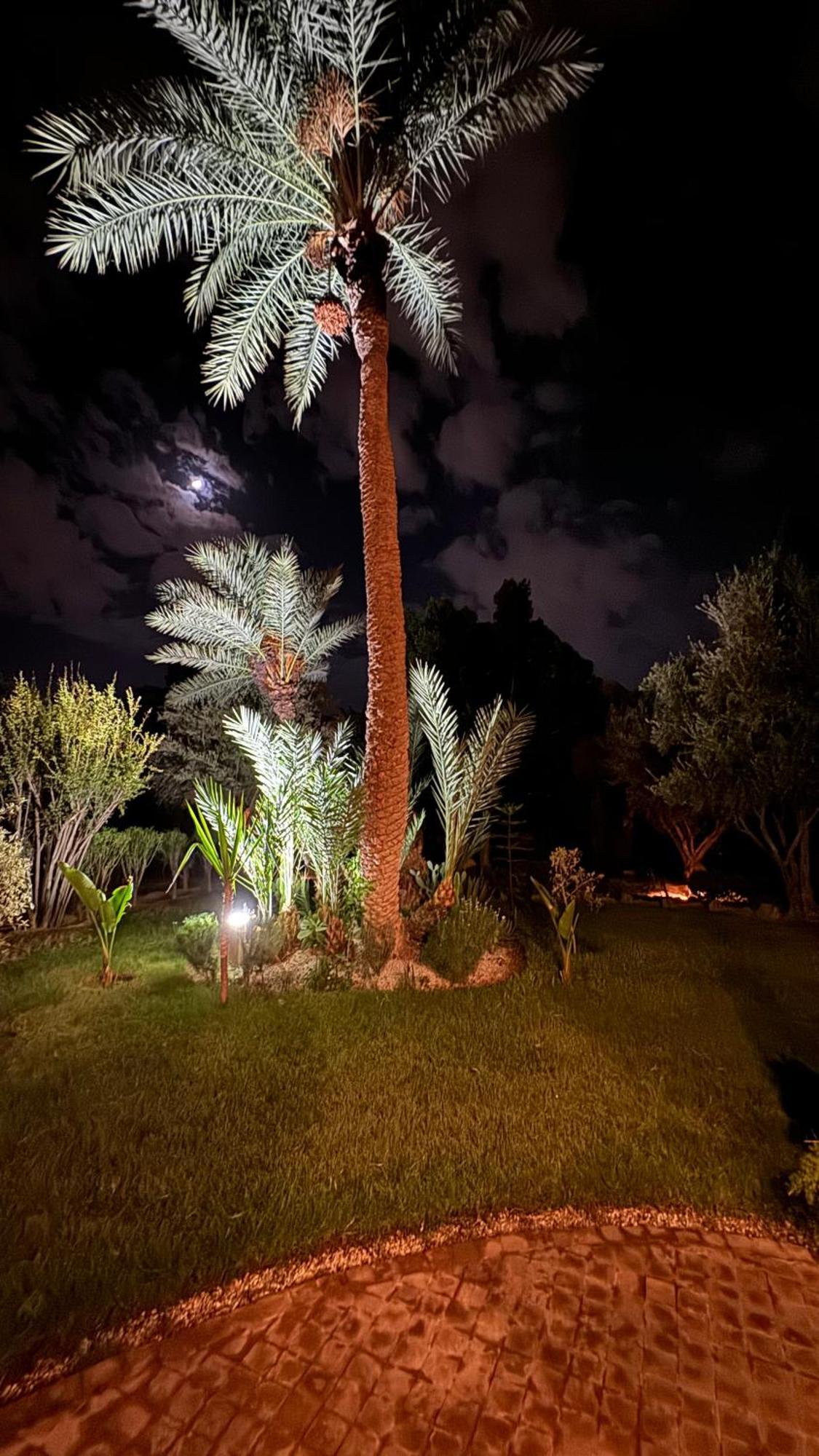 Tres Joli Appart A La Palmeraie Coup De Coeur Marakeş Dış mekan fotoğraf