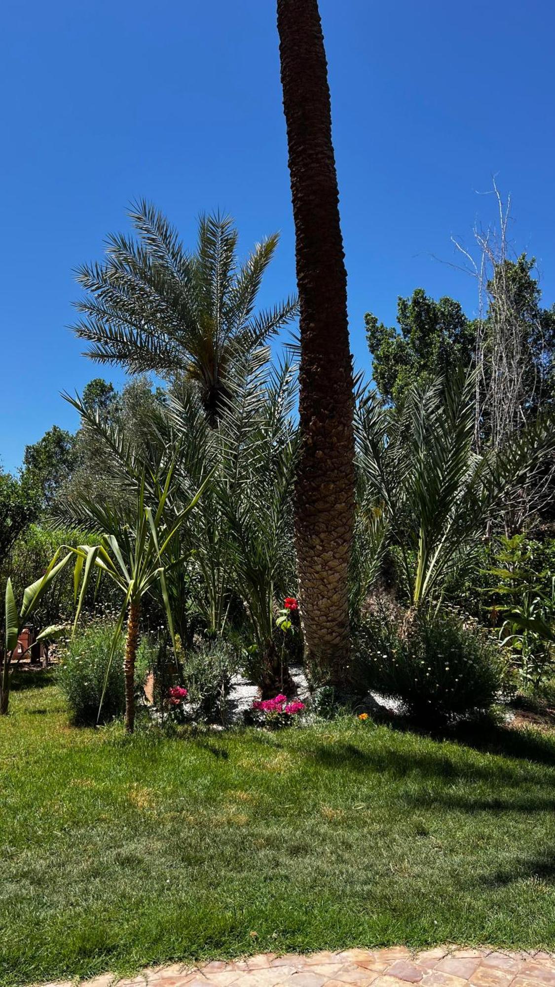 Tres Joli Appart A La Palmeraie Coup De Coeur Marakeş Dış mekan fotoğraf